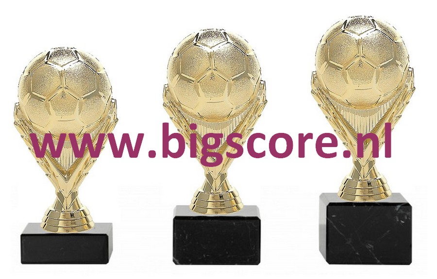 Voetbal Goud 5013-G